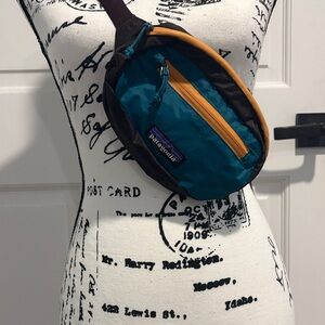 Patagonia Teal, Black, and Tan Belt Bag